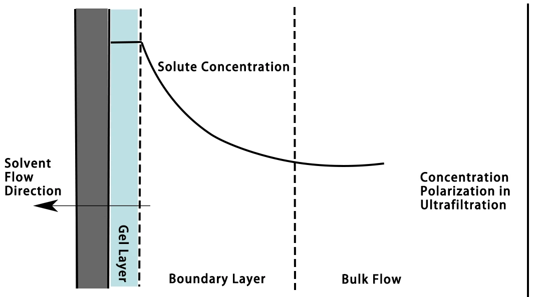 Concentration Polarization.png